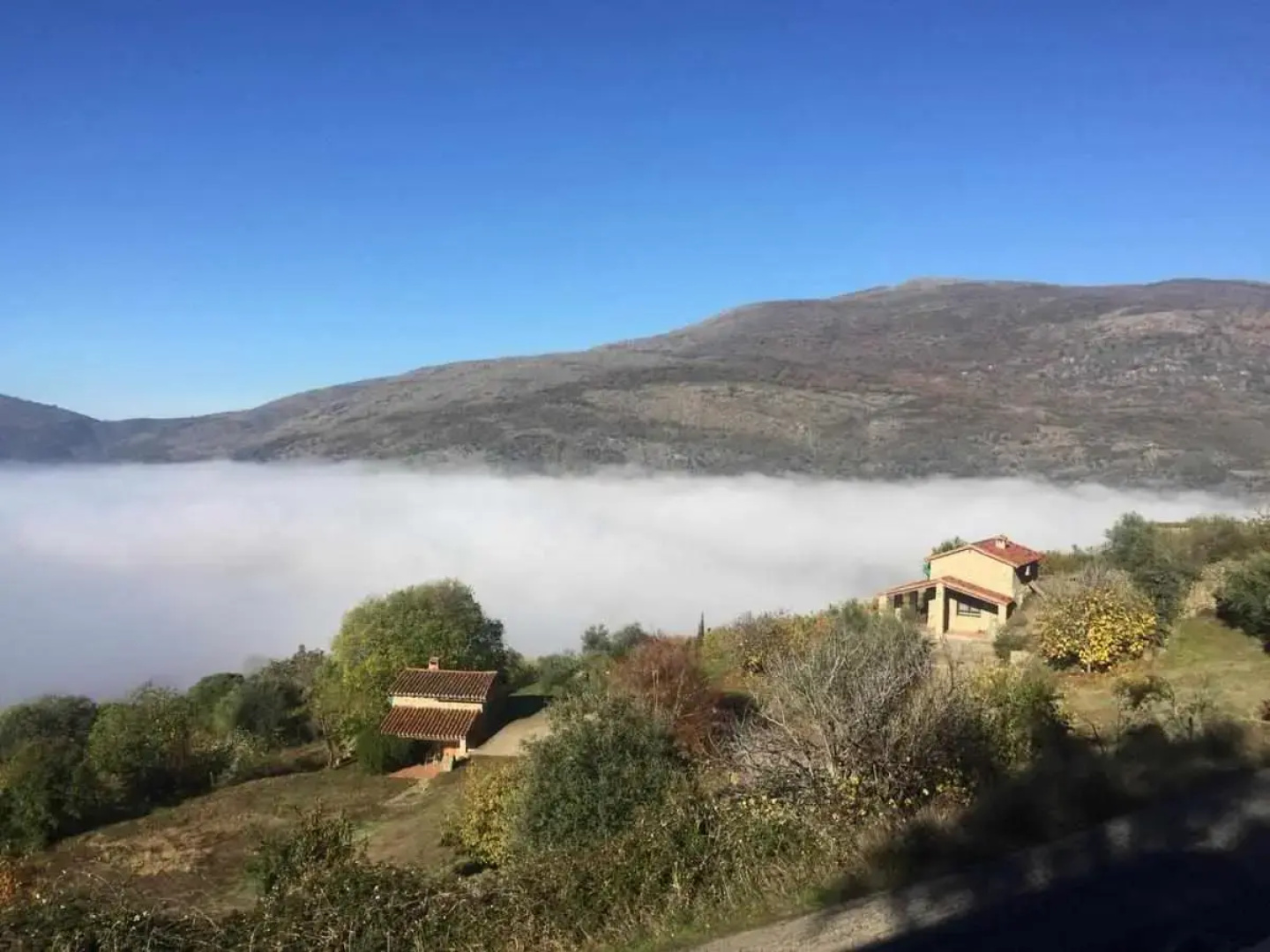 Mi Valle Rural