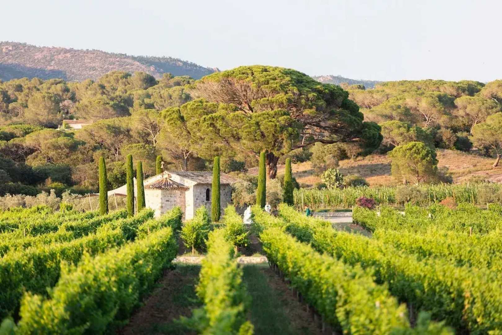 La Bastide du Clos des Roses