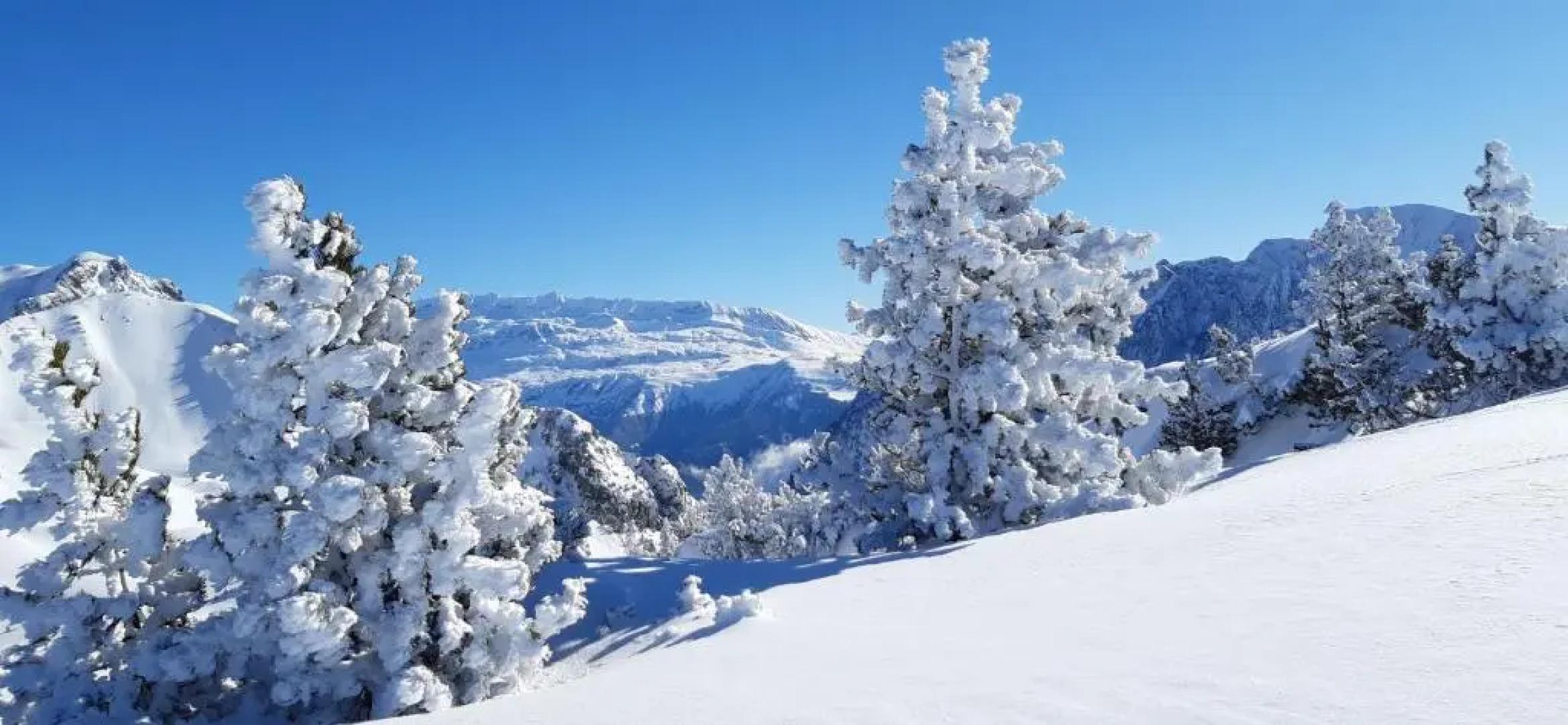Studio au pieds des pistes
