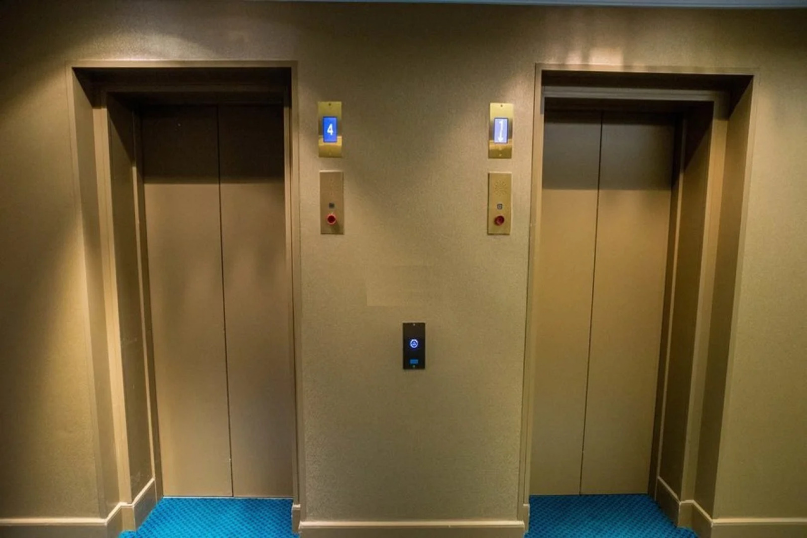 Oceania L'Univers Tours