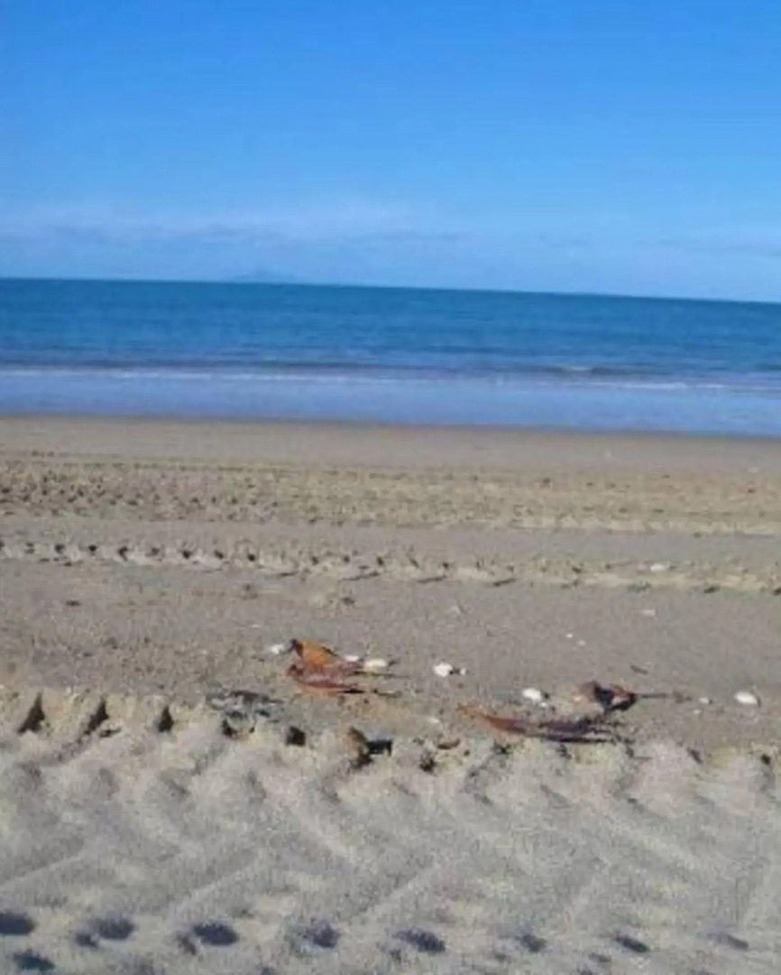 La Solana Holiday Units - MACKAY - Blacks Beach