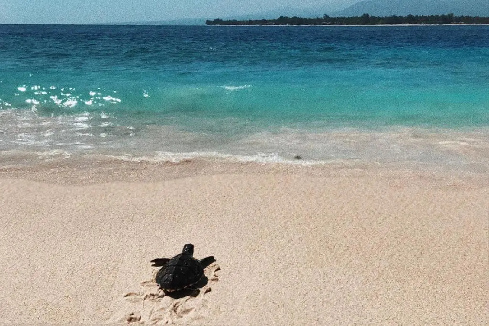 Villa Samalas Resort and Restaurant