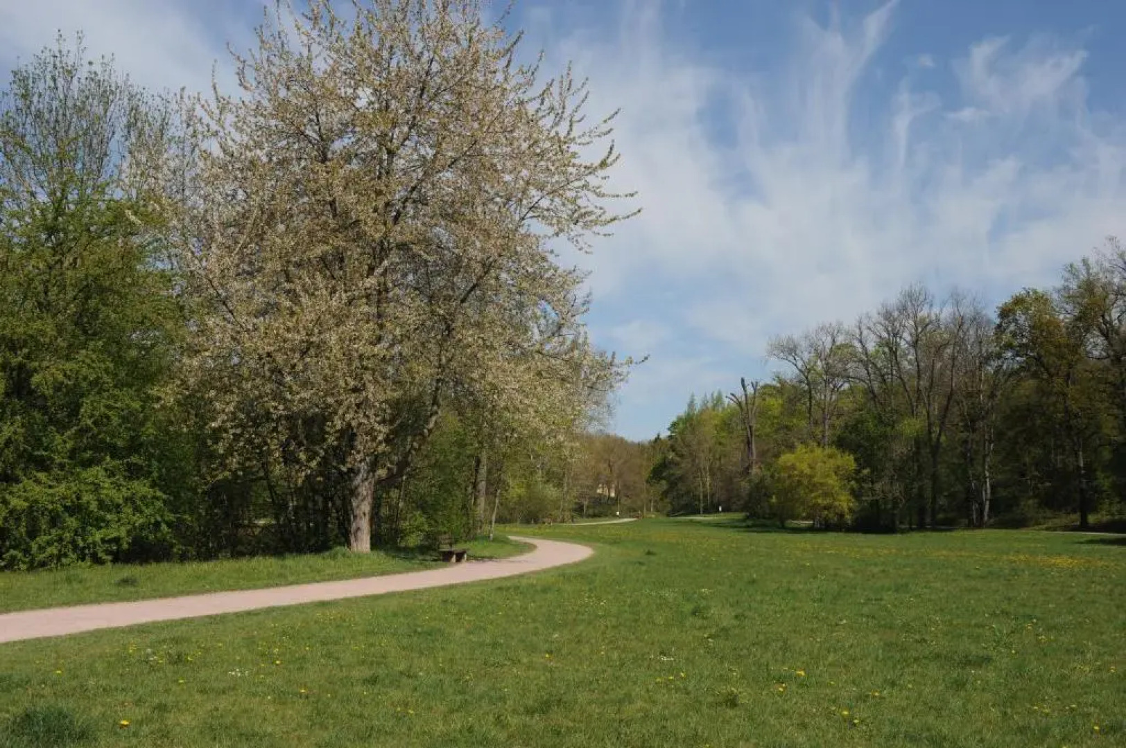 Weimar Ferienwohnung am Goethepark
