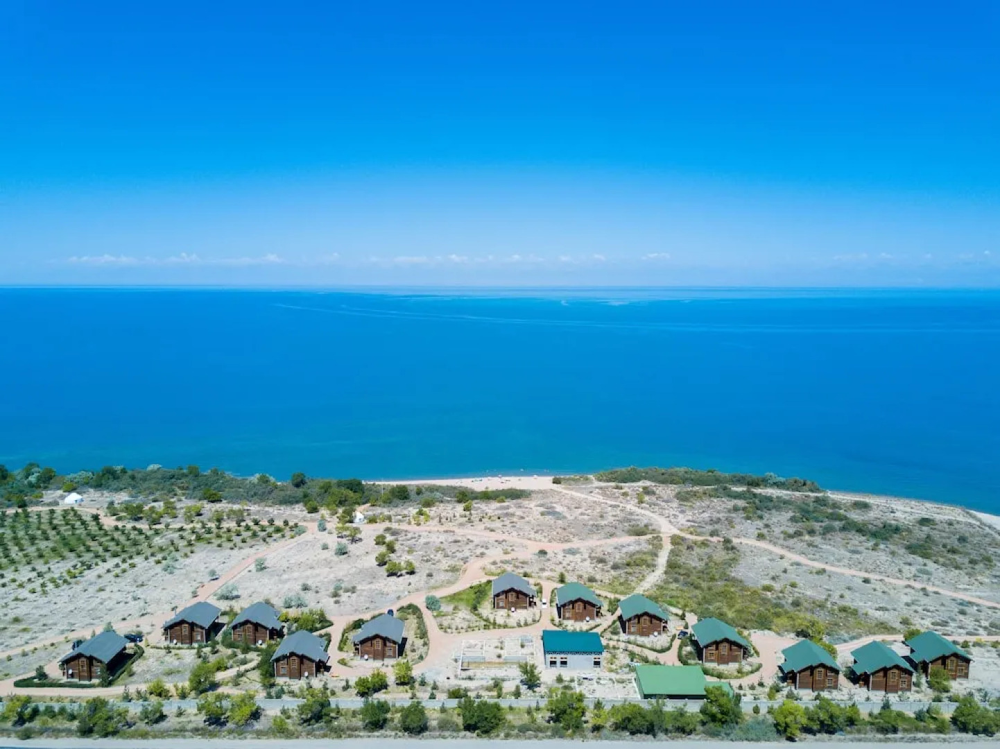 Family club Royal appricot