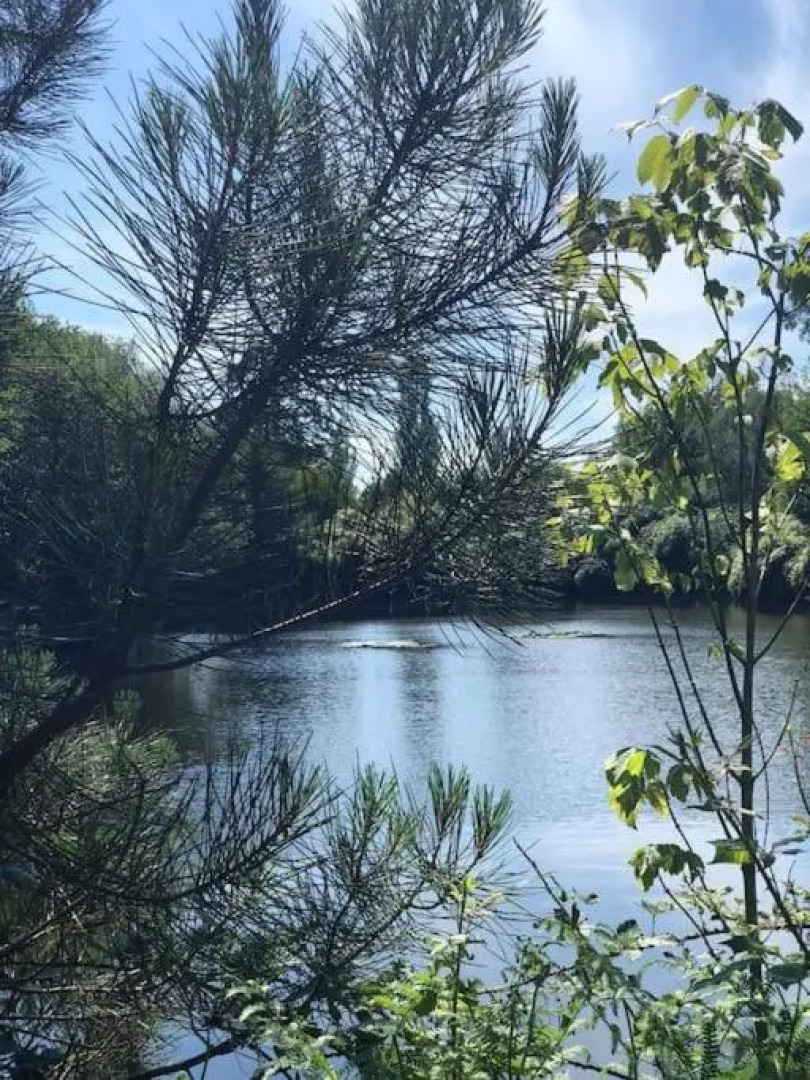 Maison bois au coeur de la nature. 2ha de terrain. Etangs