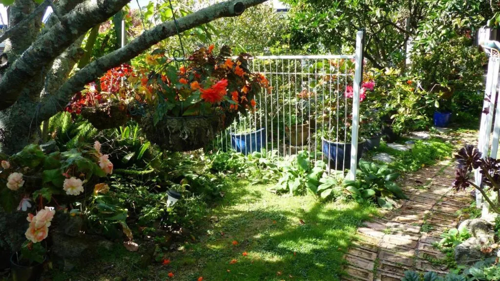 Ashcroft Gardens Bed  Breakfast