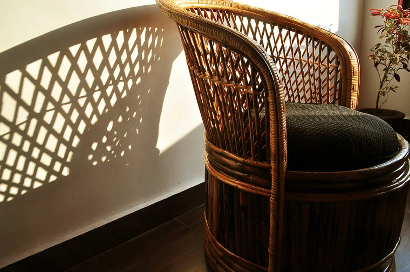 Hotel Love and Light