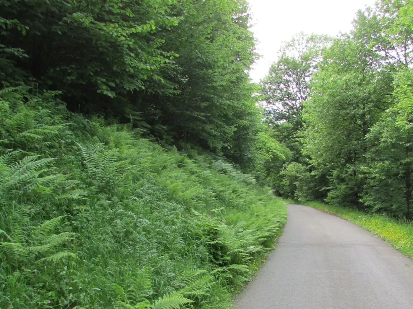 Ferienwohnung in Schiltach