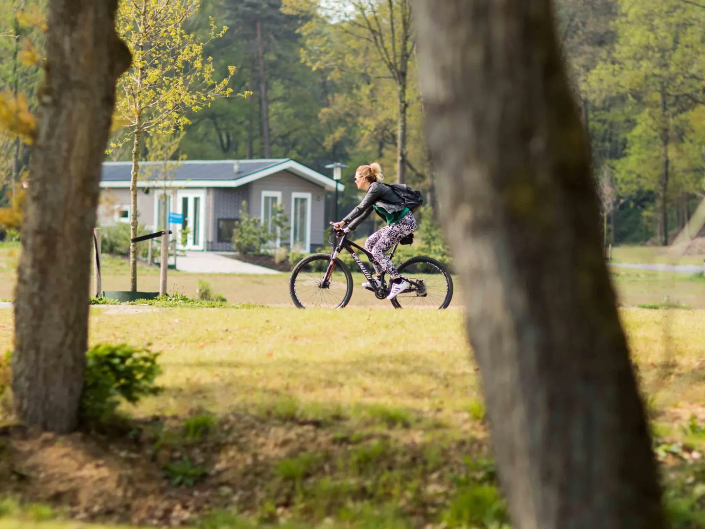 Modern chalet with outdoor sauna/spa, in a holiday park located near the Veluwe