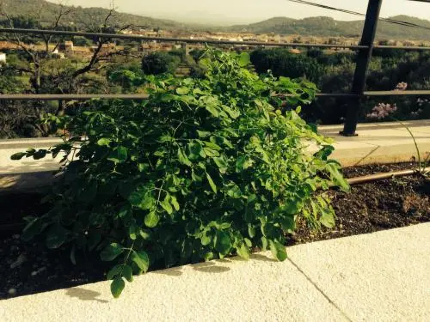 Boutique Villa Alaro