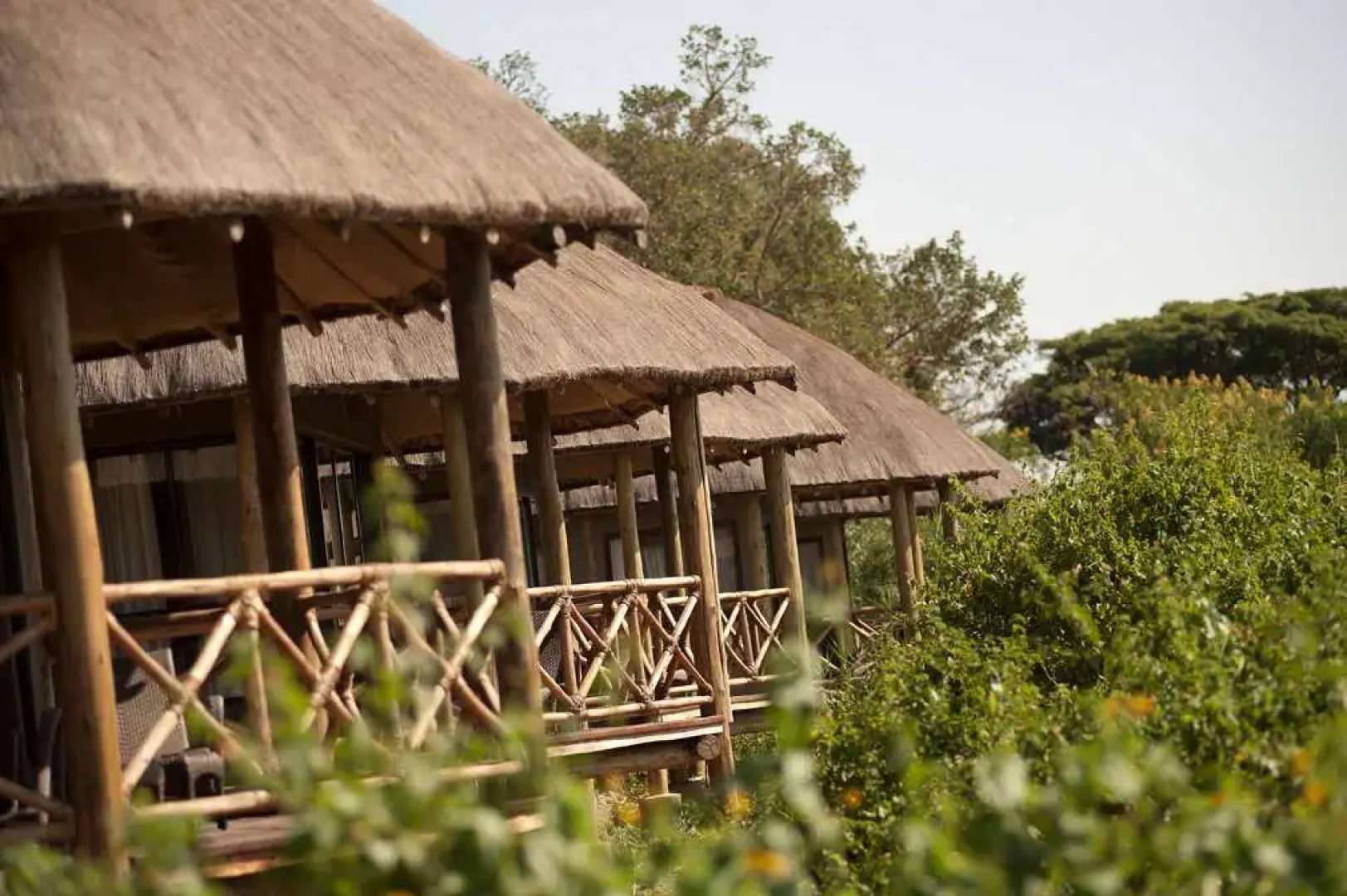 Jambo Impala EcoLodge