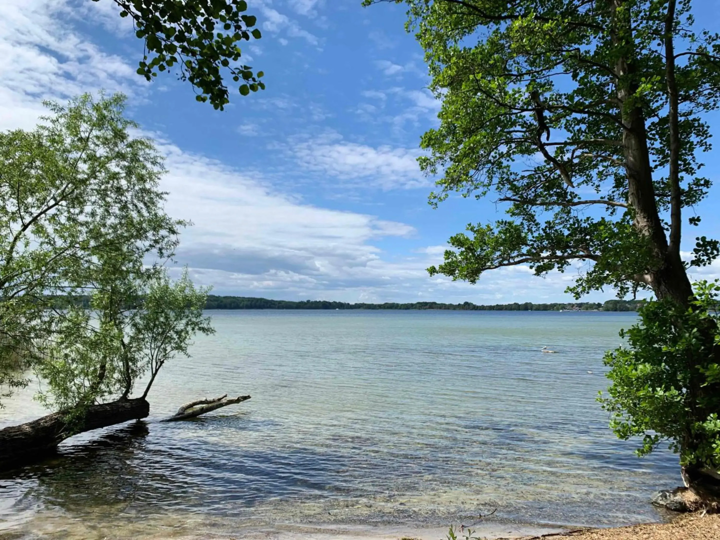 Apartment Altes Pfarrhaus in Plau am See