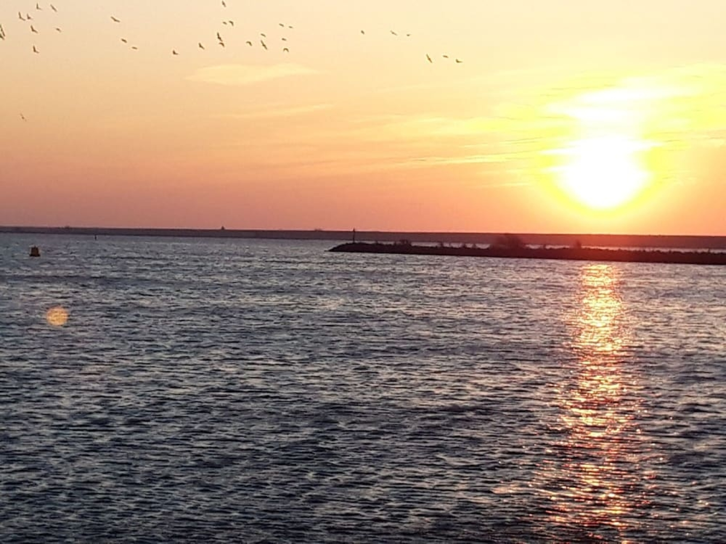 Cozy Holiday Home with Hot Tub in Lauwersoog by Lake