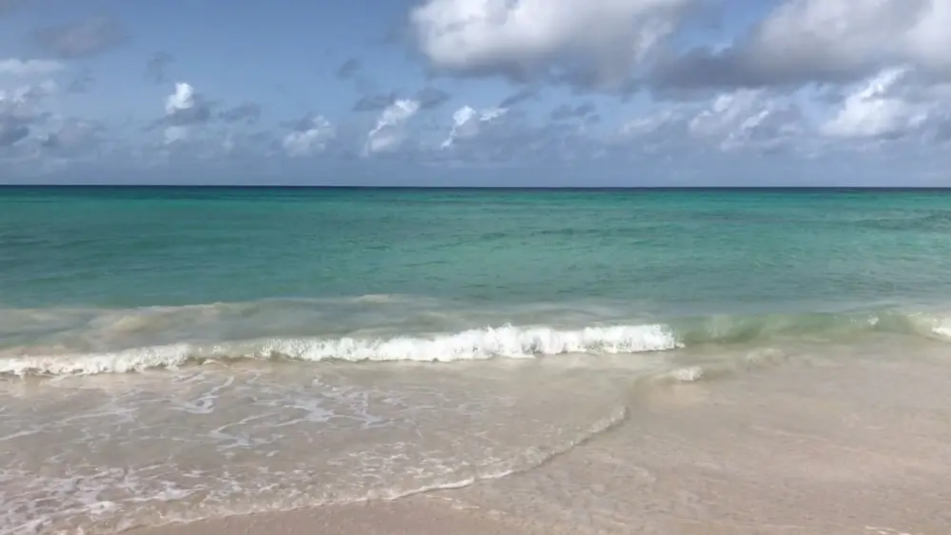 Maxwell Beach Apartment