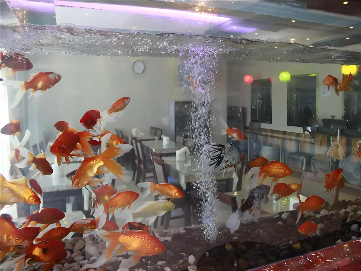 Green Tree Inn Wuhu Jiangbei Shen'gang