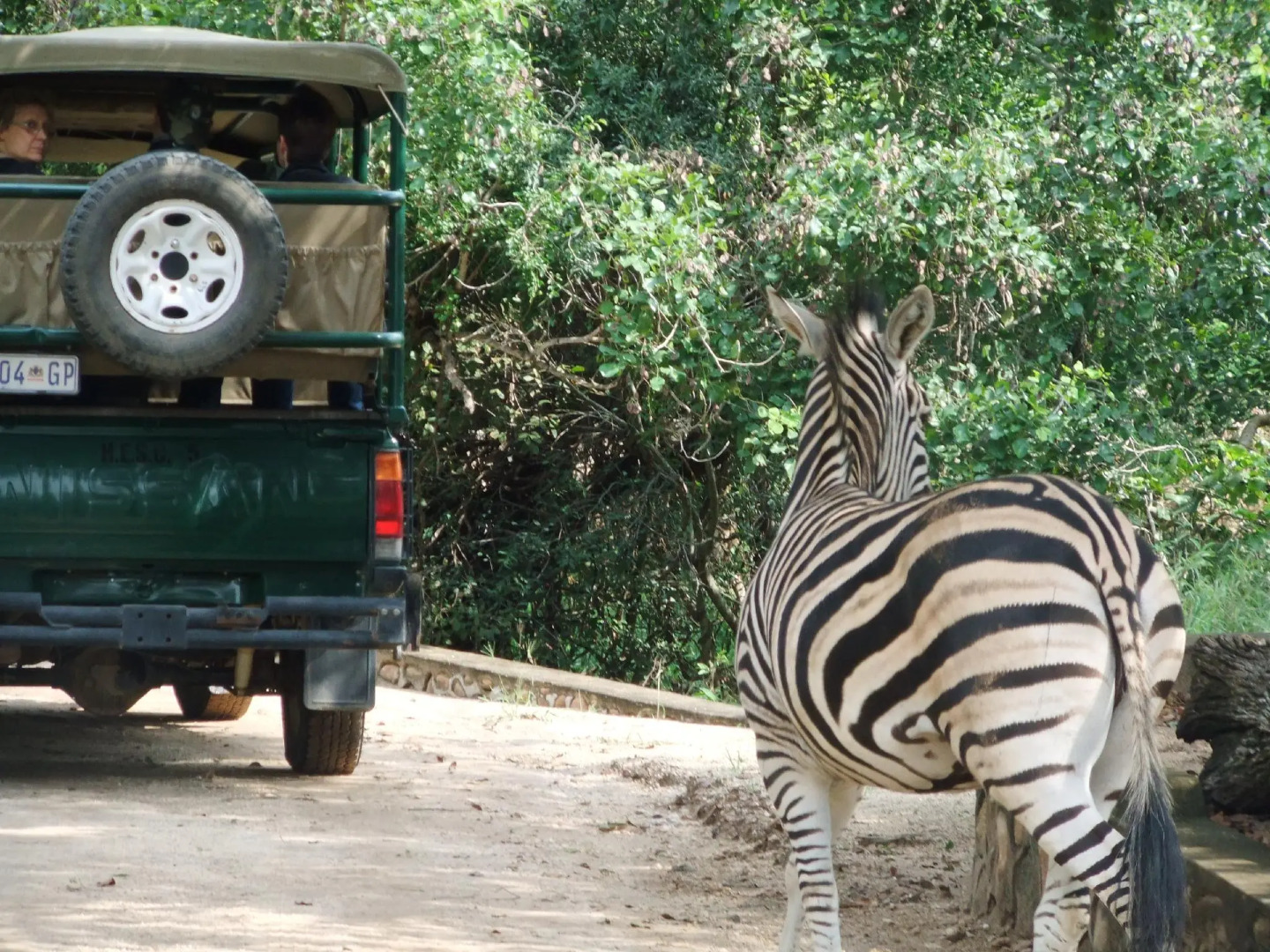 Hoedspruit Endangered Species Centre Accommodation
