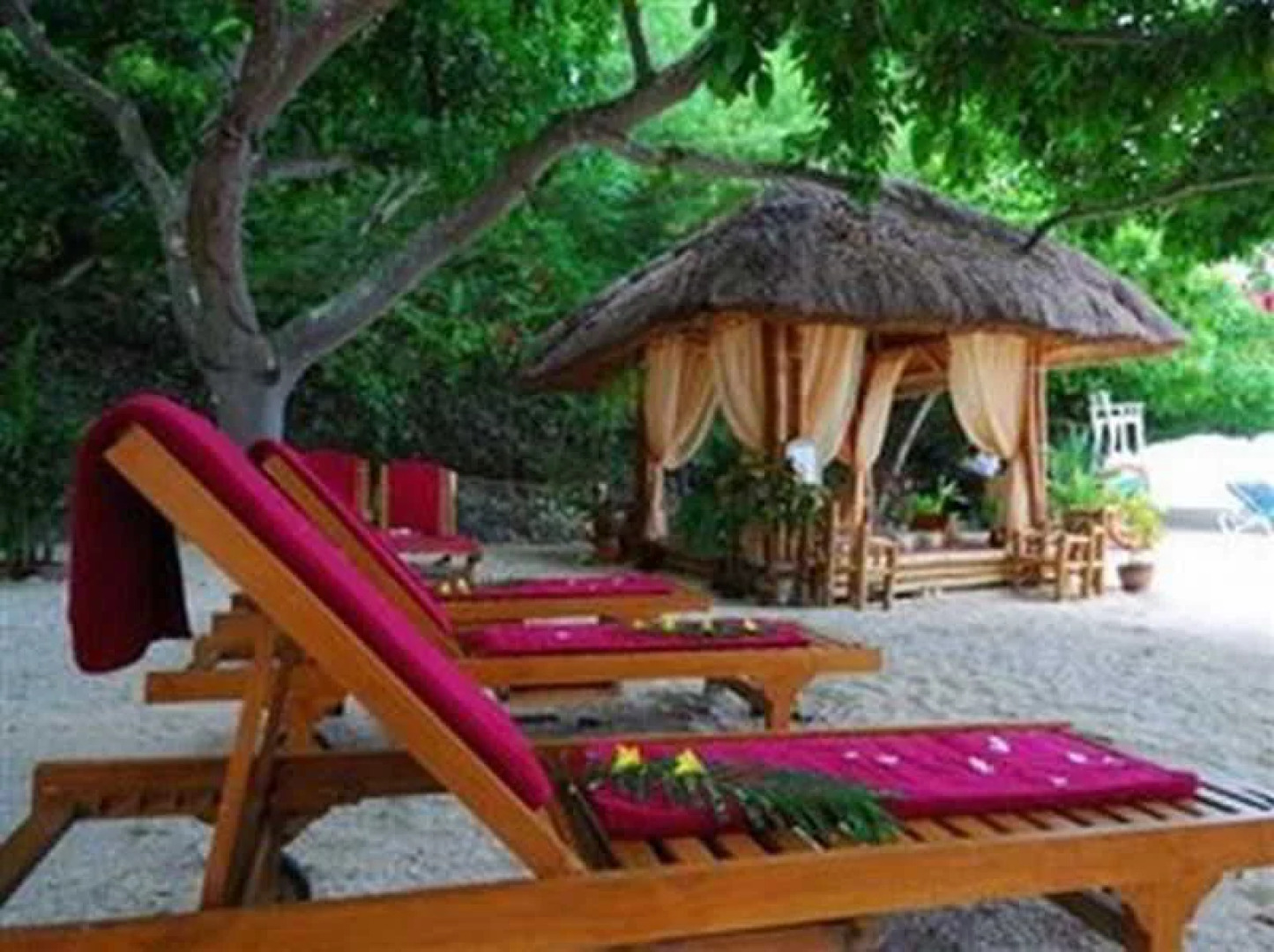 Alegre Beach Resort & Spa