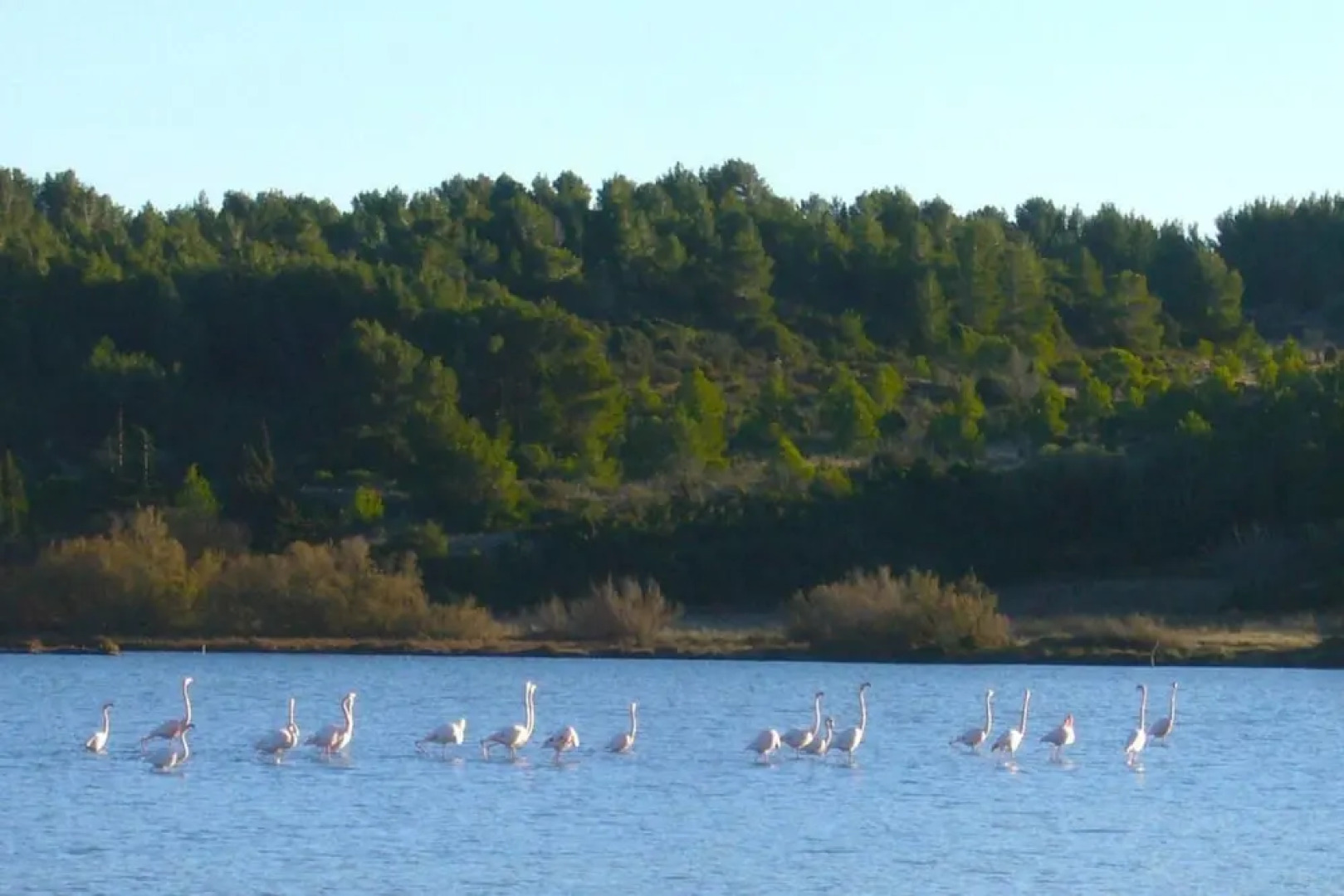 House La France -The Terrace Apartment