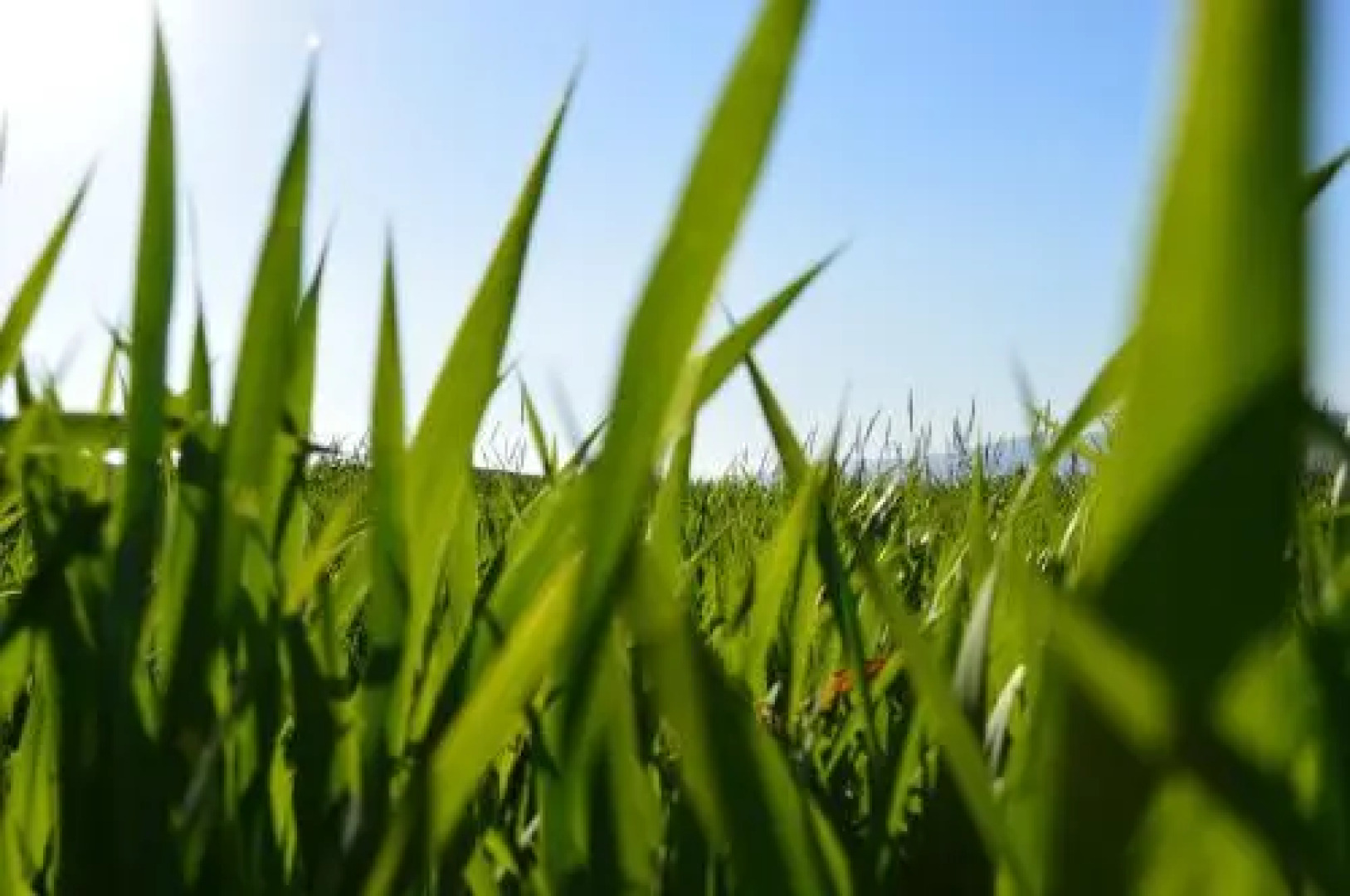 Relais Santa Croce All'Eremo