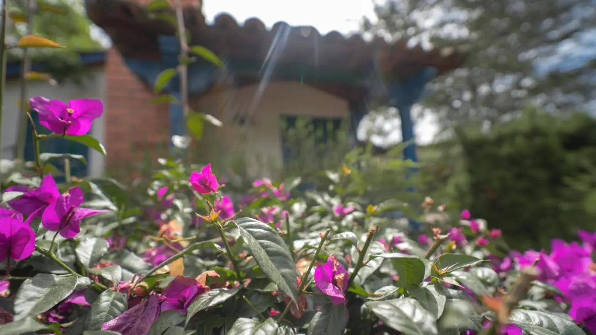 Hotel Termales el Otoño