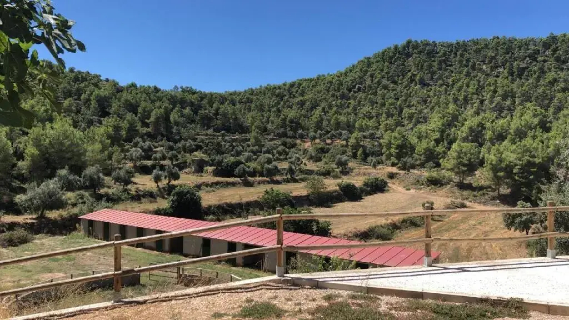 Mas De La Creu