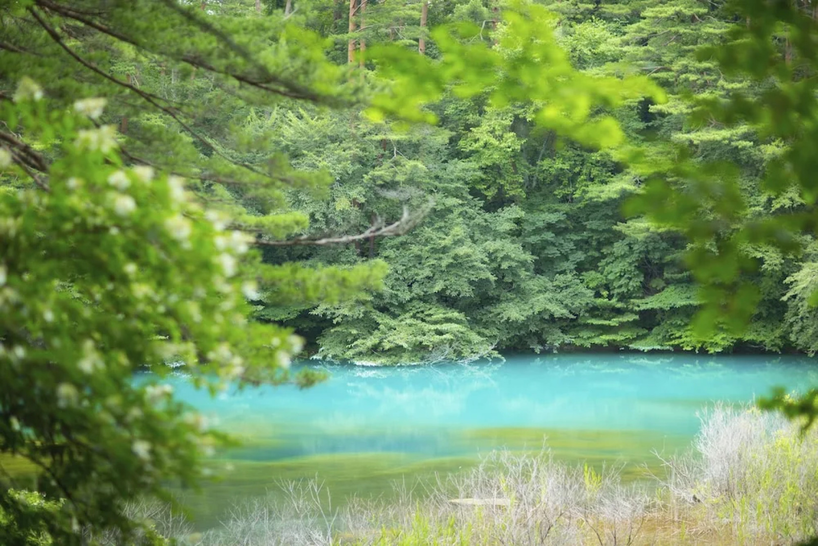 Hoshino Resorts Bandaisan Onsen Hotel