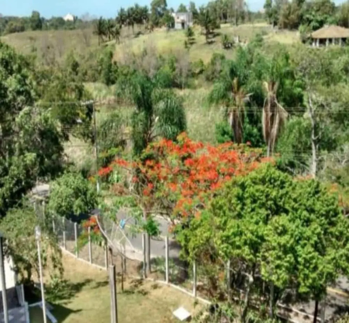 Village dos Pássaros