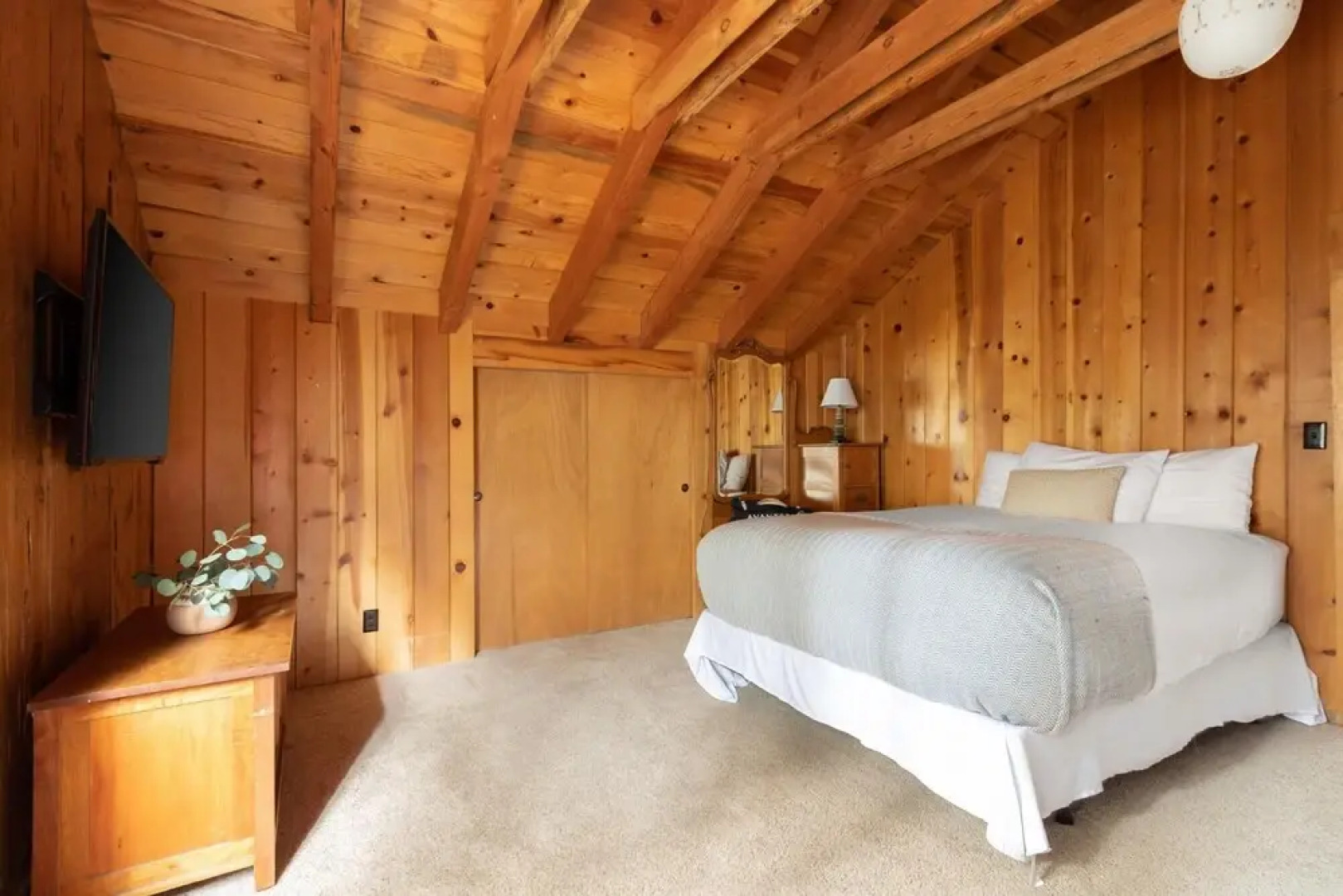 Pineland Criterion 66 -