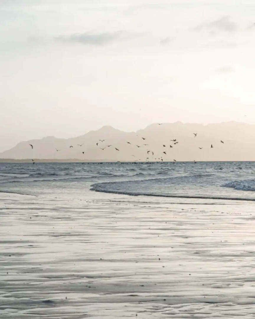 Nomada Republic Hotel Punta Chame