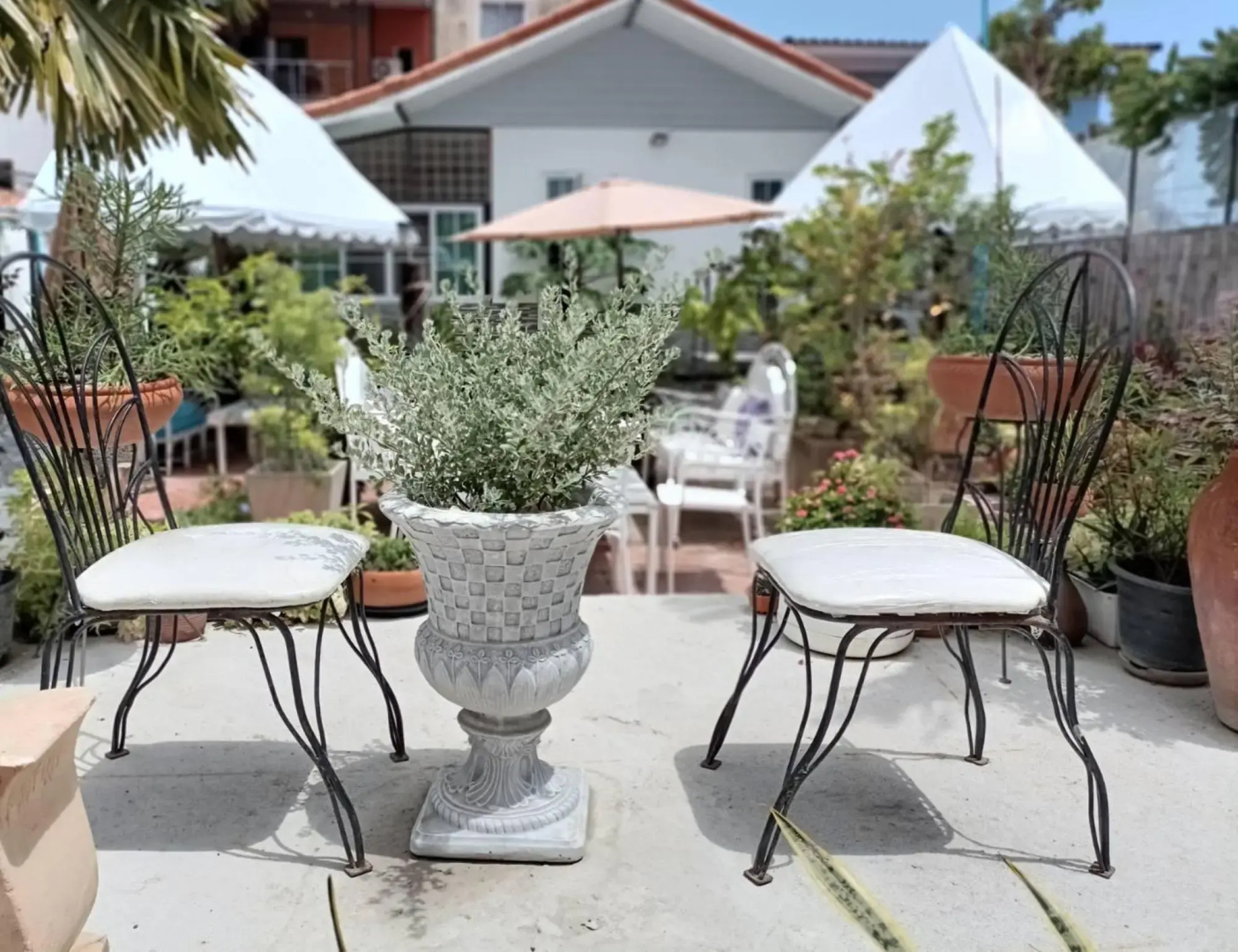 Palm Sweet Hotel