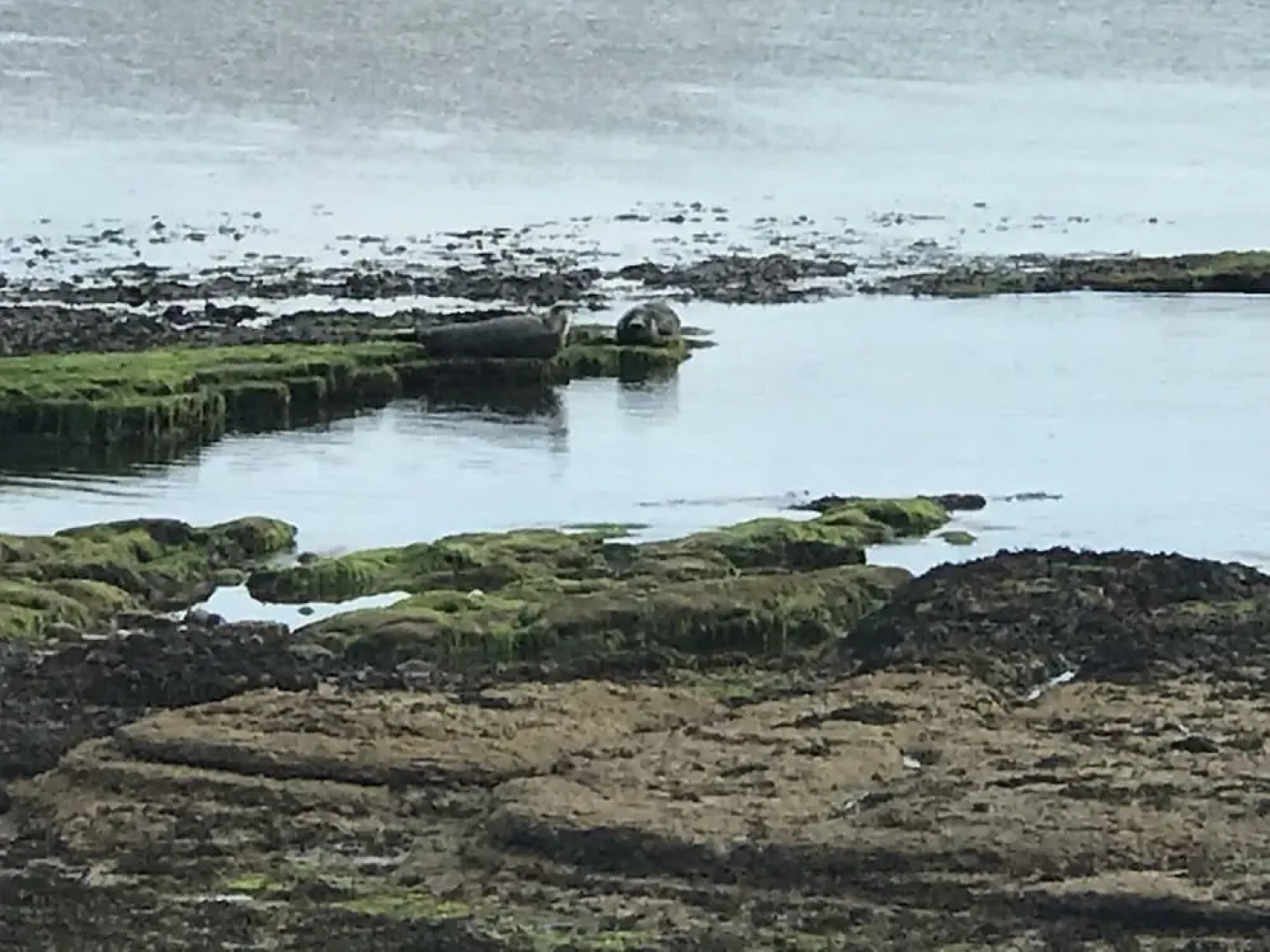 The Old Coach House Hotel