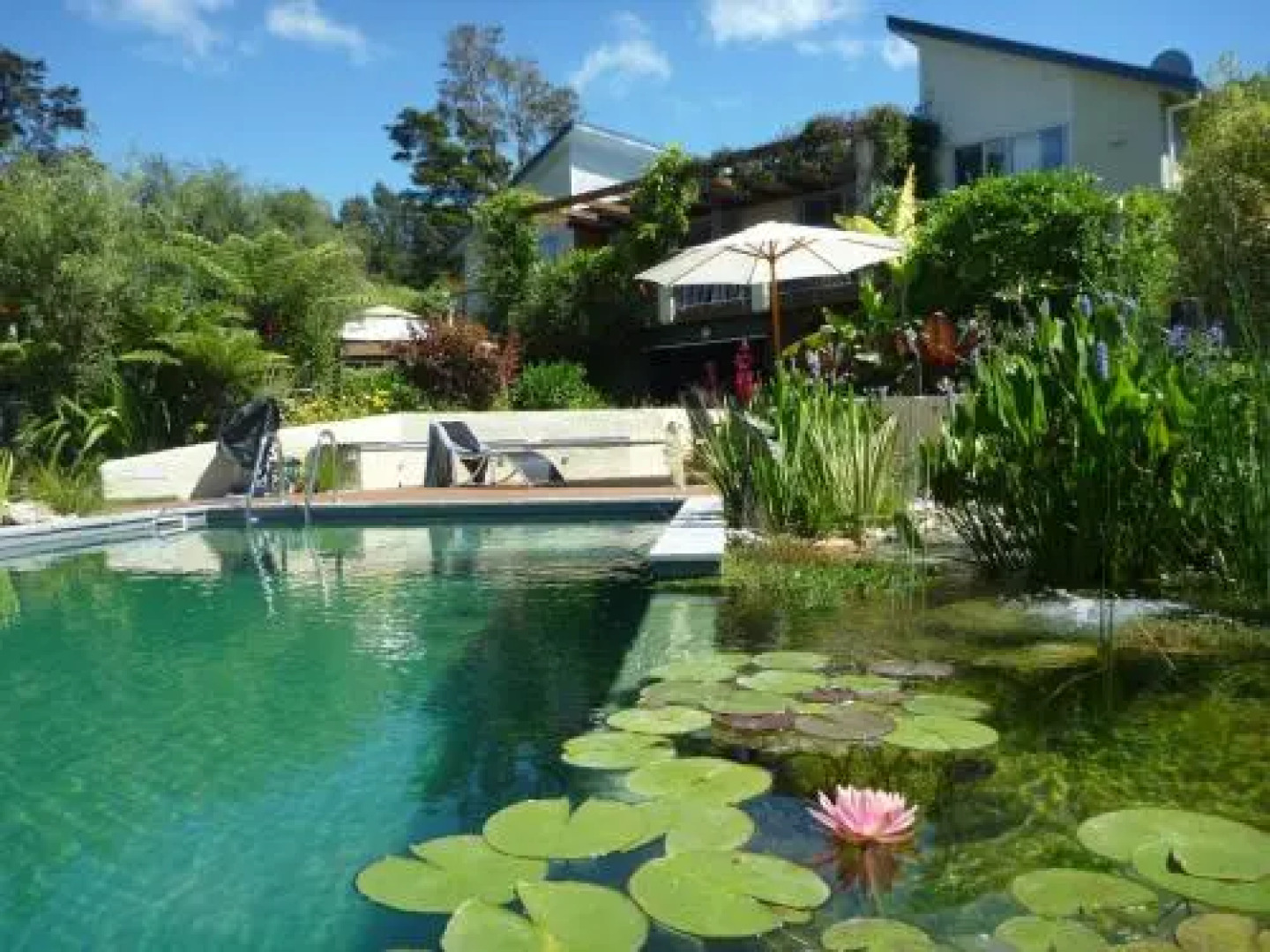 Wall Street Accommodation