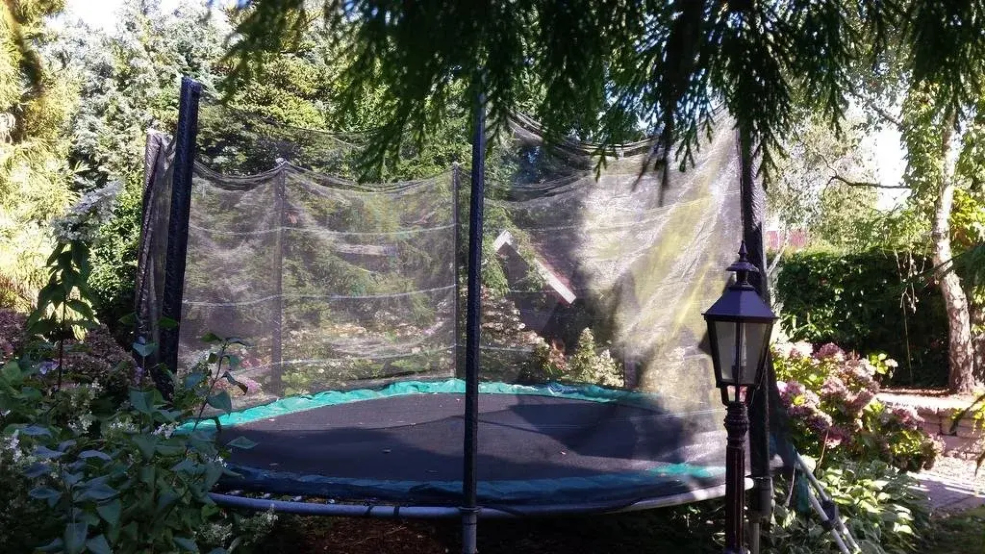 The Queensbed by The Wellness Cottage