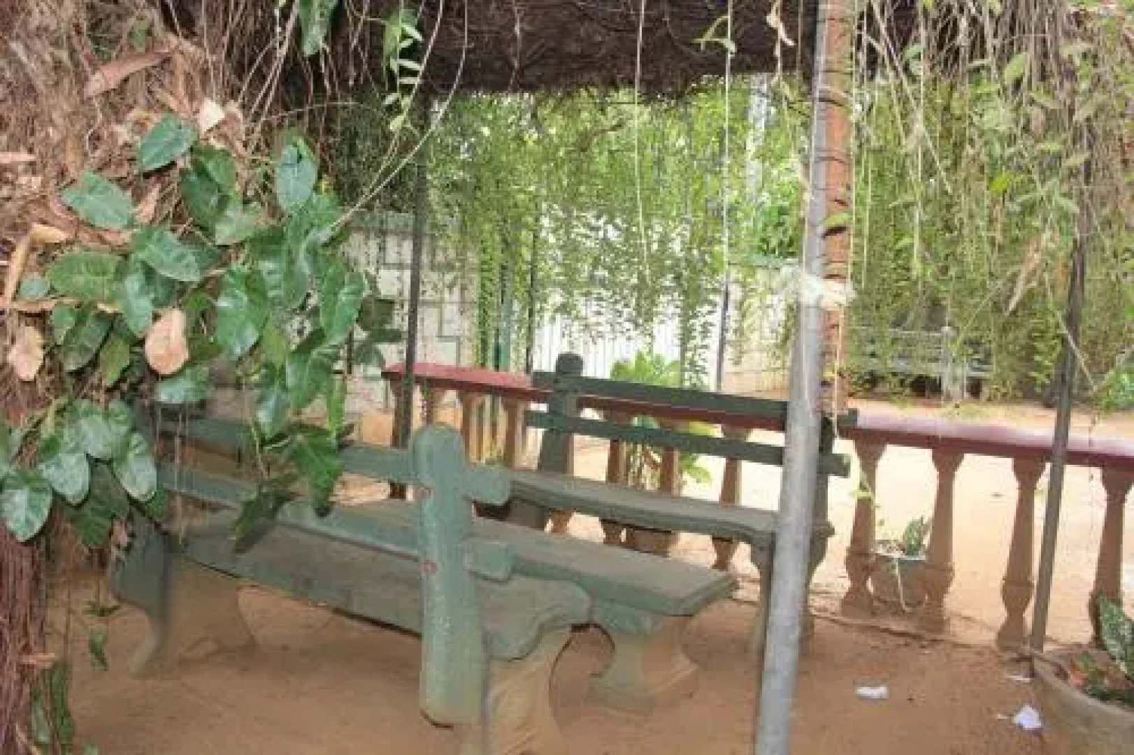 Elephants Fence Guest & Safari Services