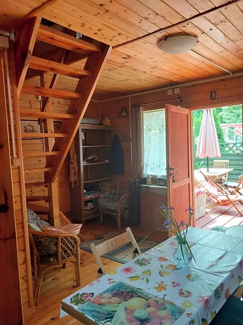 Domki w lesie u Grażynki