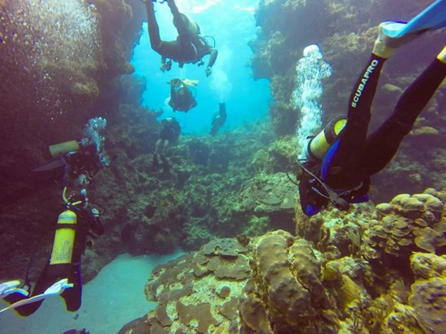 Green Turtle Club Resort & Marina