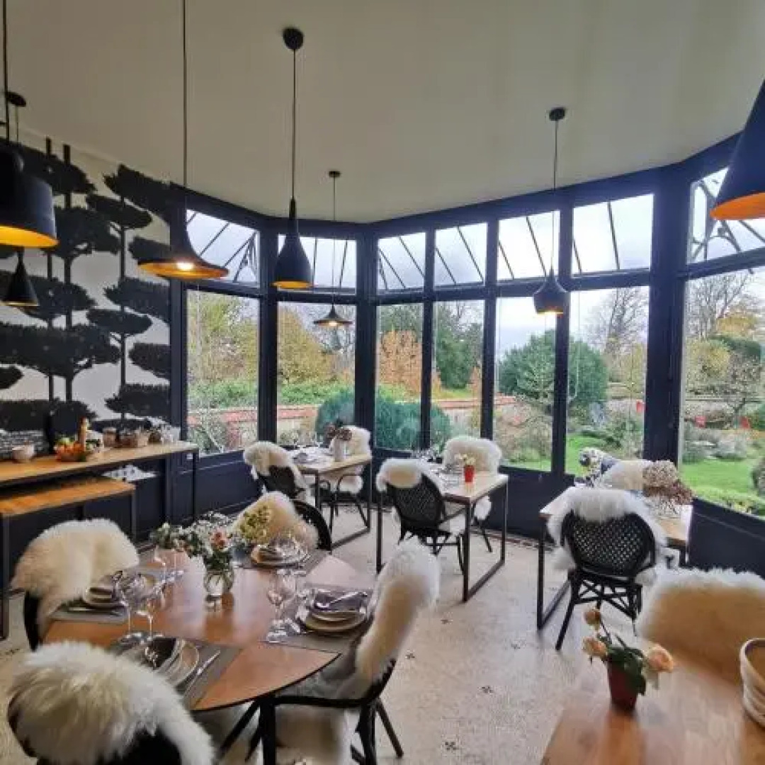 Les Bulles Dorées Art & Gallery & Spa