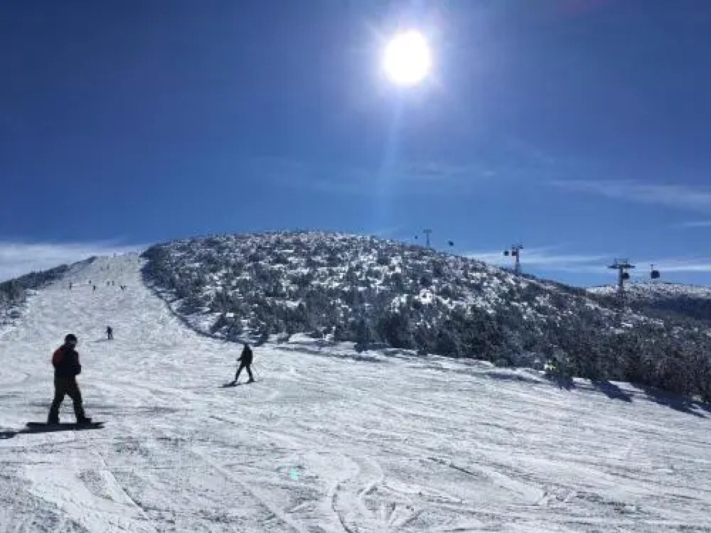 Studio in Hotel Flora Borovets