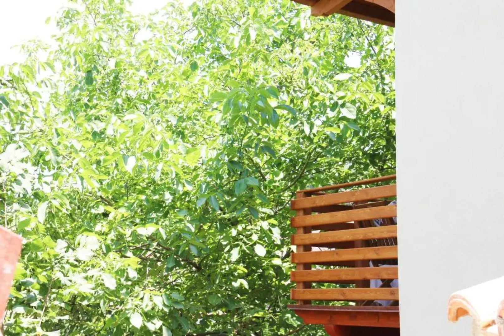 Casa vacanze il Giardino - Appartamento Ciliegio