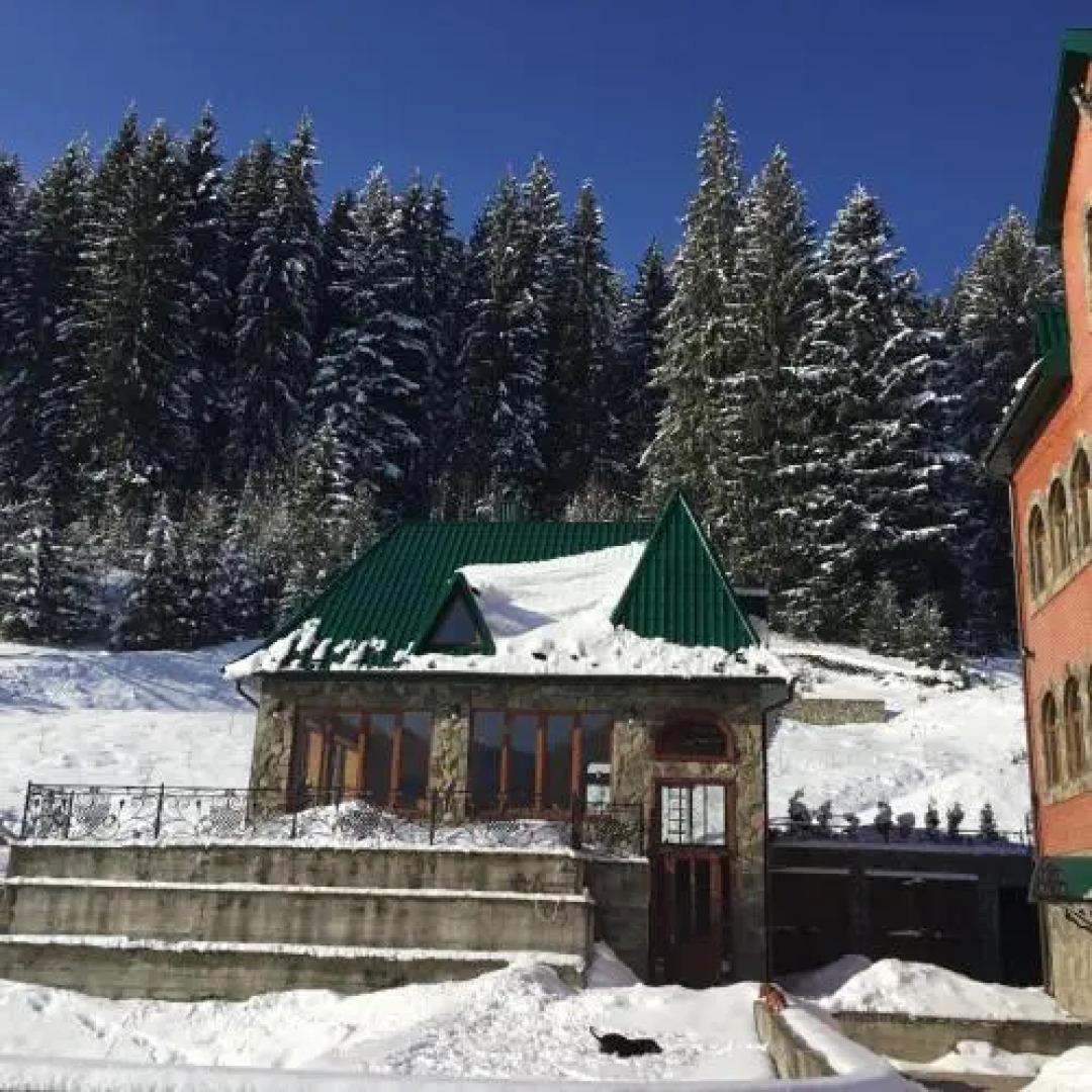 Sadyba na Gutsulsky Polonyni