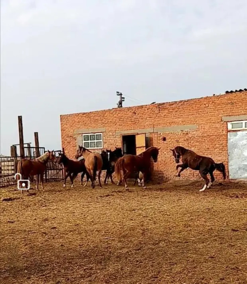 Станица Черноярская