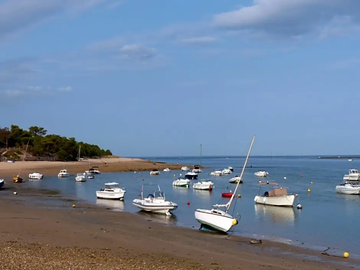 Maison d’hôtes Les Ajoncs