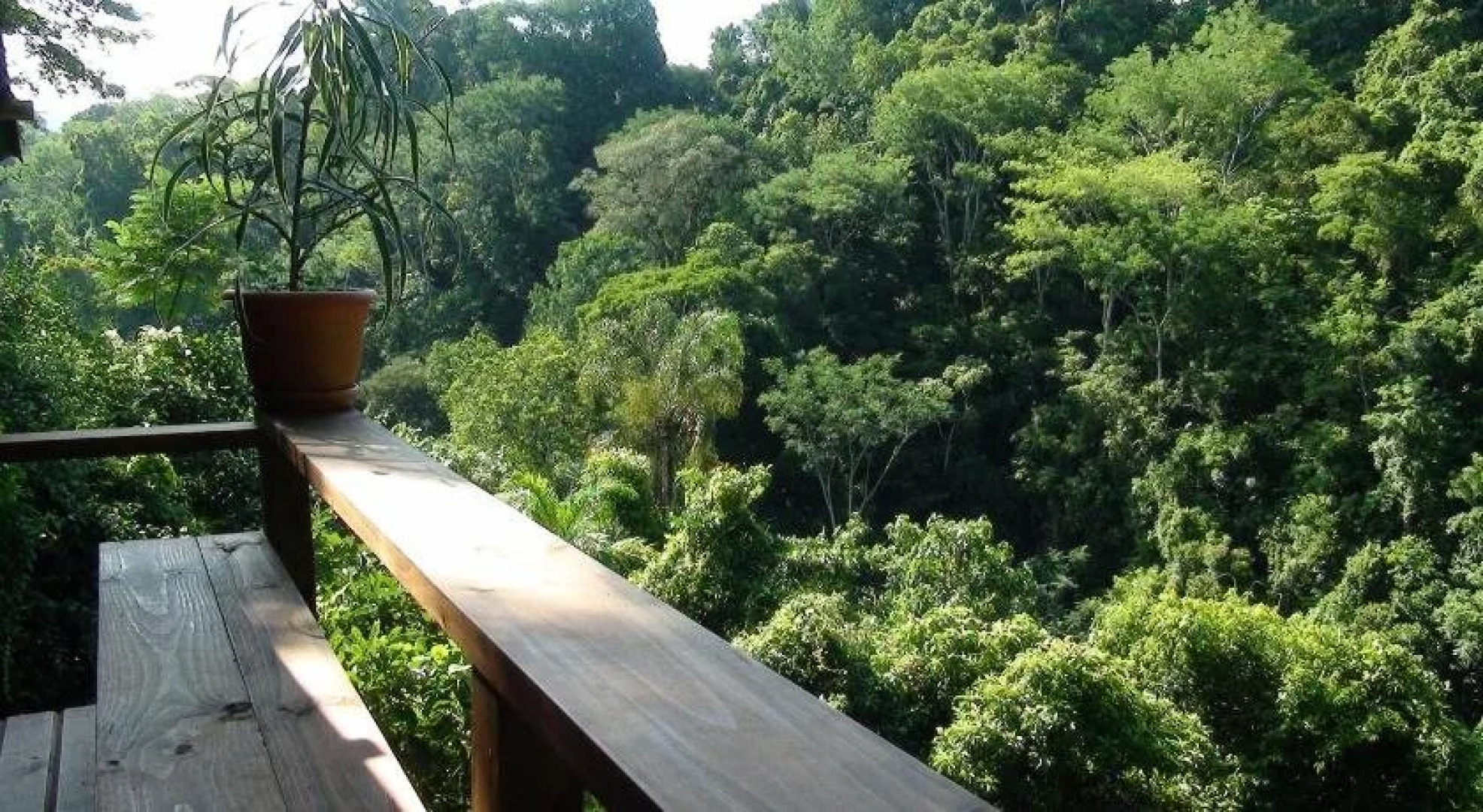 Ka'kau Jungle Cabinas