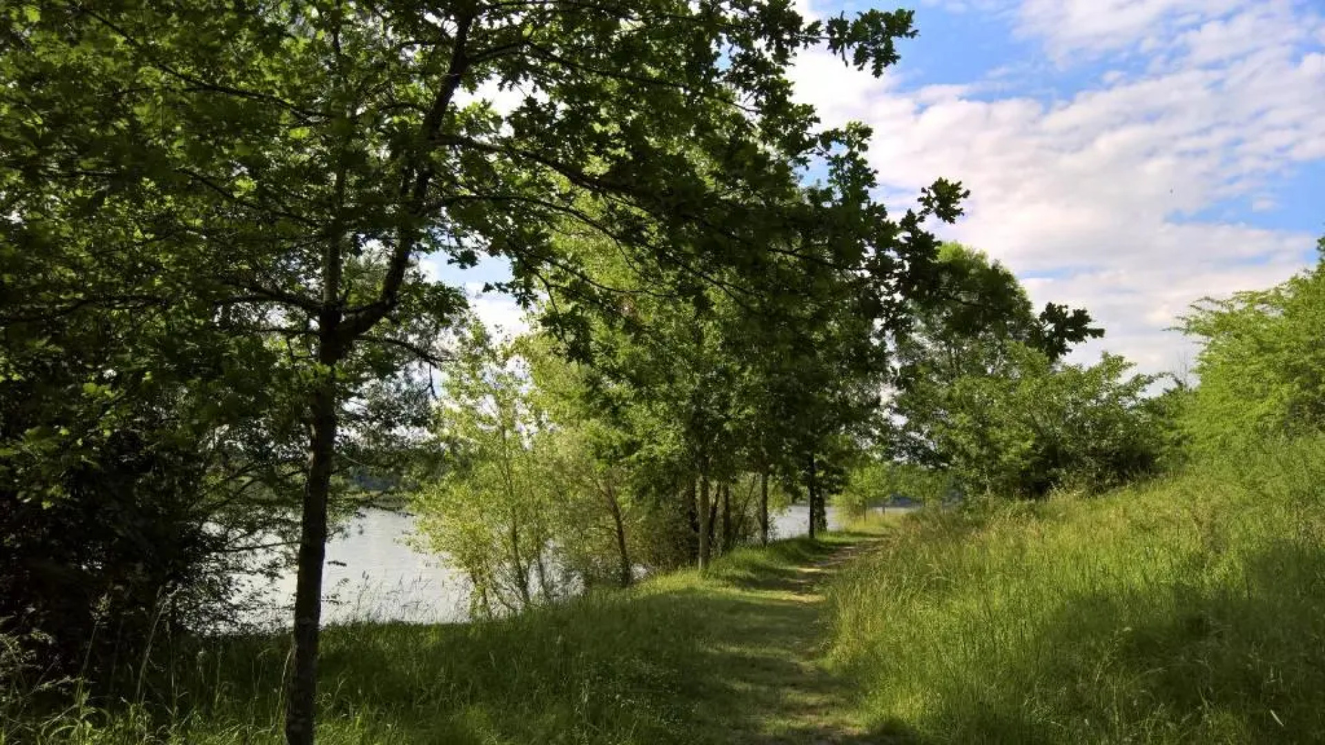 Les Glycines B&B Apartment