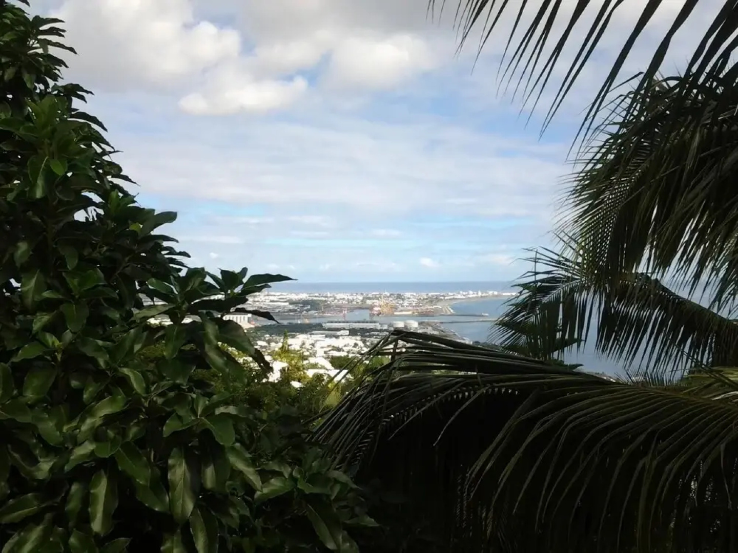 Sous le soleil de la Reunion