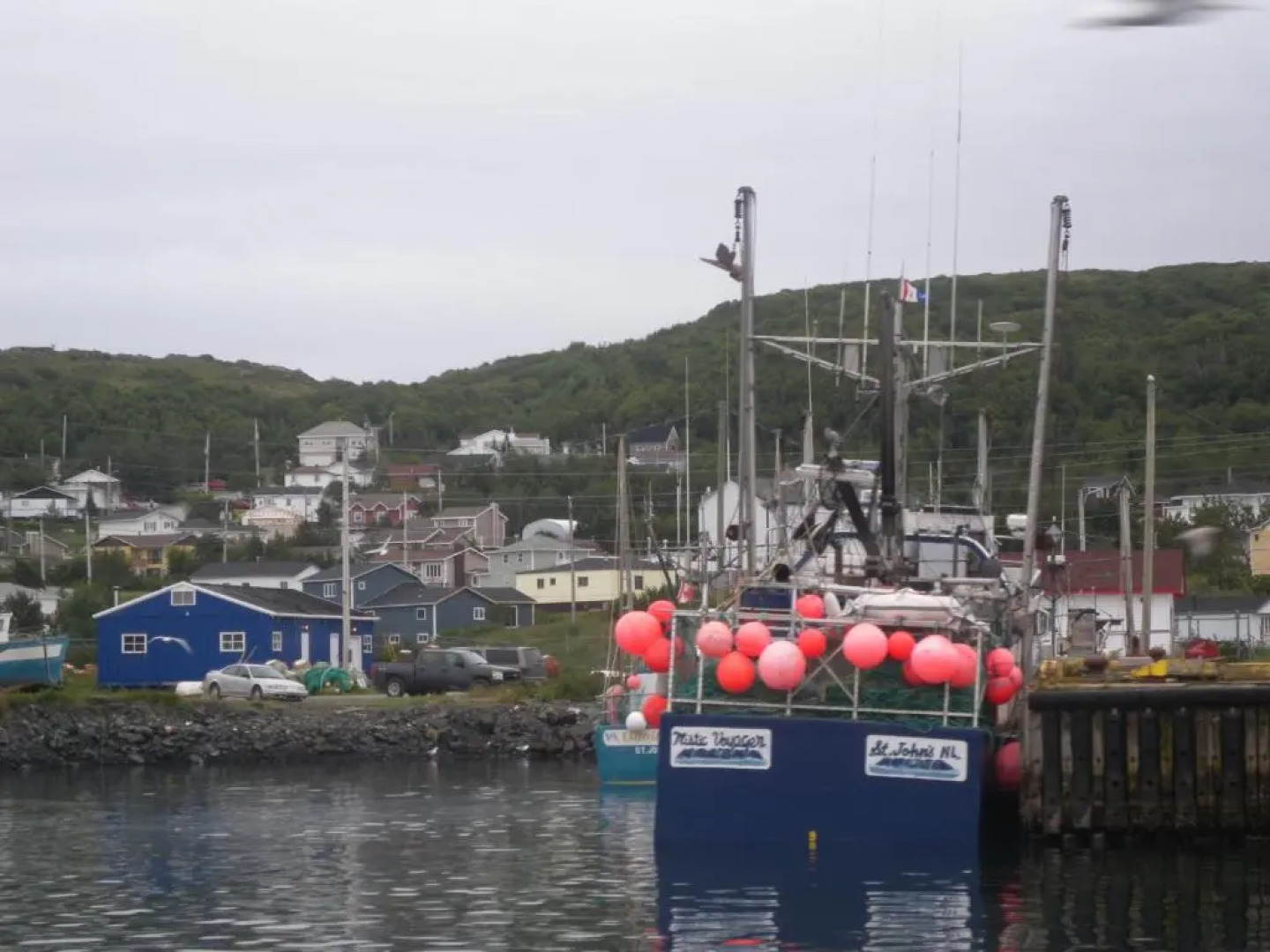 Wildberry Country Lodge B&B