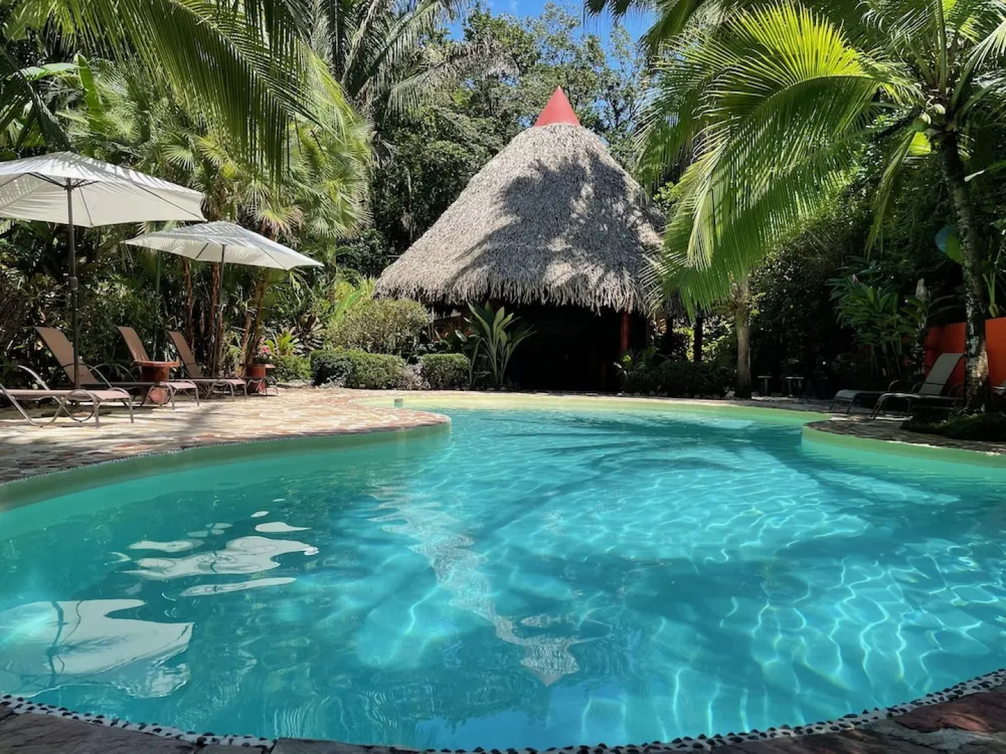 Hotel El Pequeño Gecko Verde