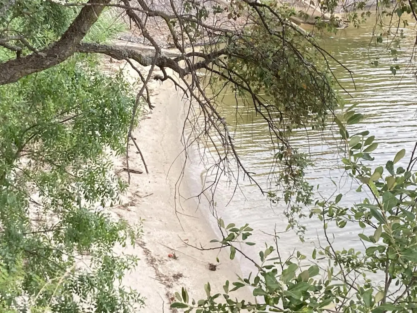 Impeccable 5 Bed House in Santa Cruz do Douro