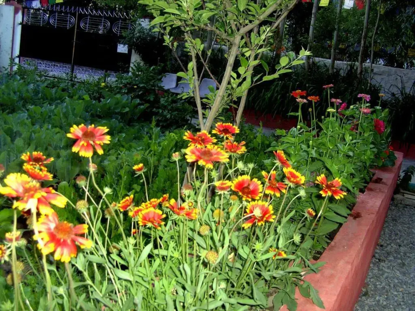 New Moon Guest House