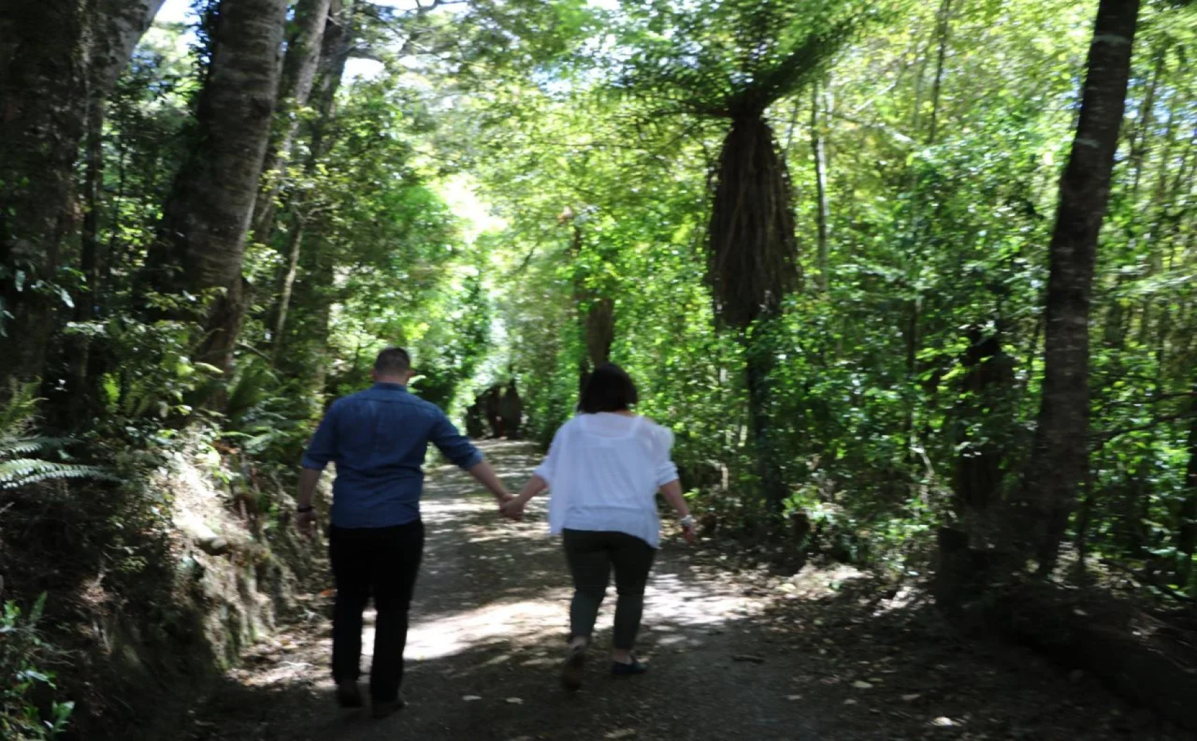 Mohua Park - Catlins Eco Accommodation